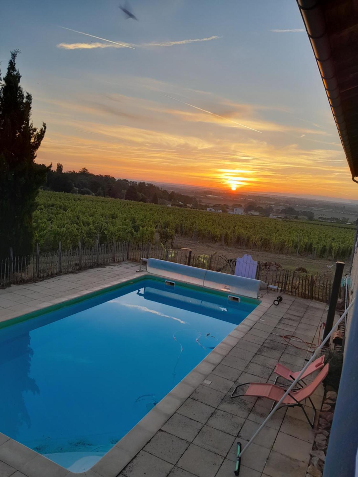 La Cote Des Blancs - Domaine Viticole & Maison D'Hotes Vinzelles Exterior foto